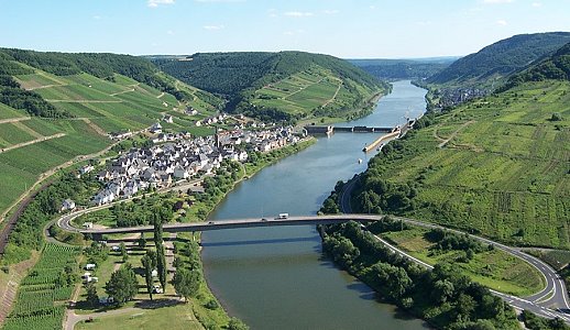 Neef an der Mosel