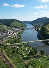 Der Weinort Neef und die Mosel